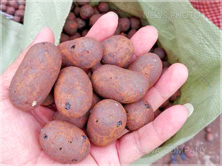 1627895460863190.jpg 陶粒.jpg